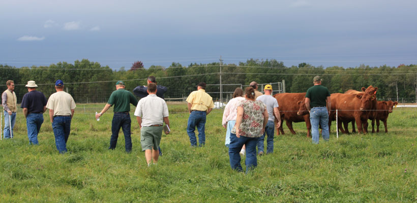 Grazing School attendees evaluating pasture utilization