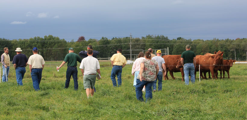 Welcome to the MSU Forage Connection